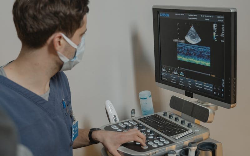 Veteriner Ultrason Nedir? Neden Yapılır?