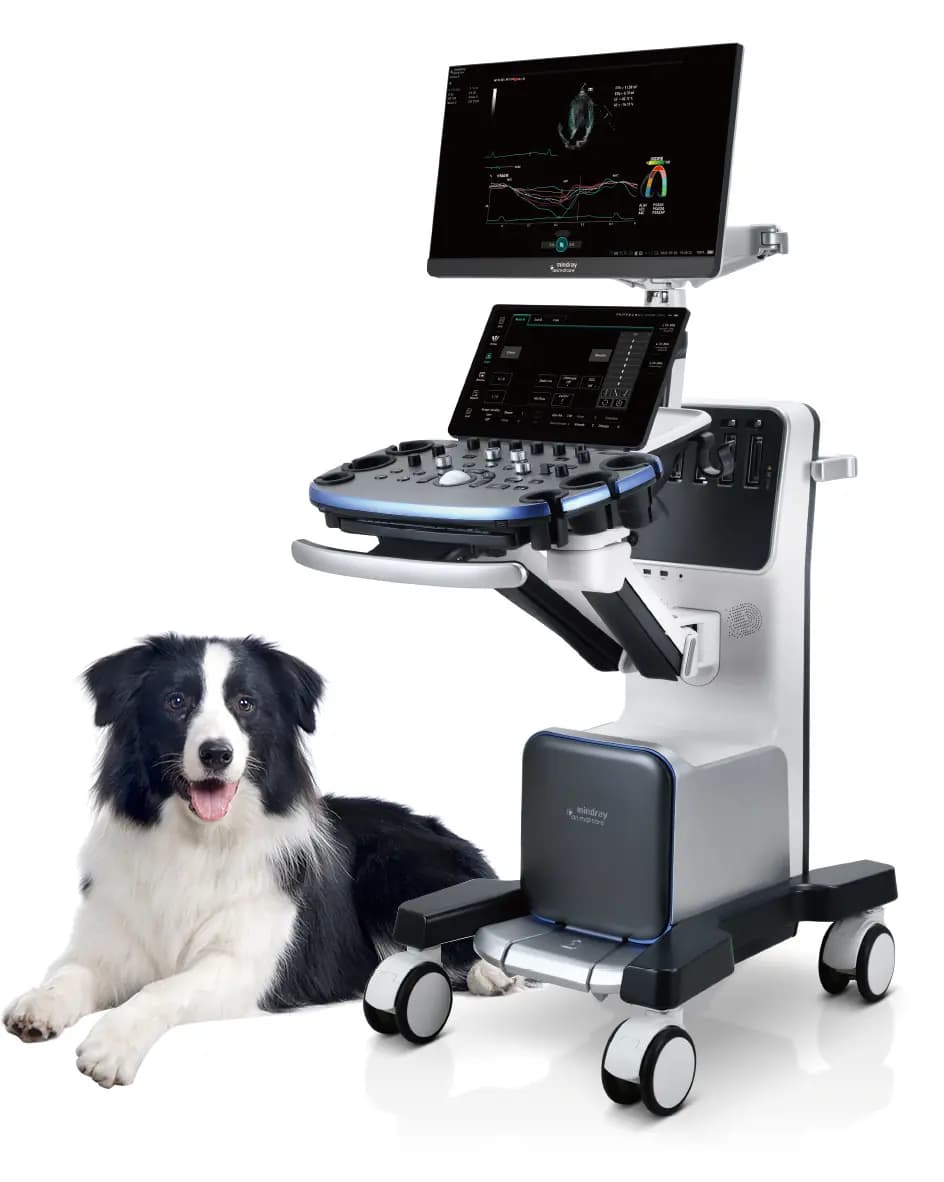 Mindray VetUS 9