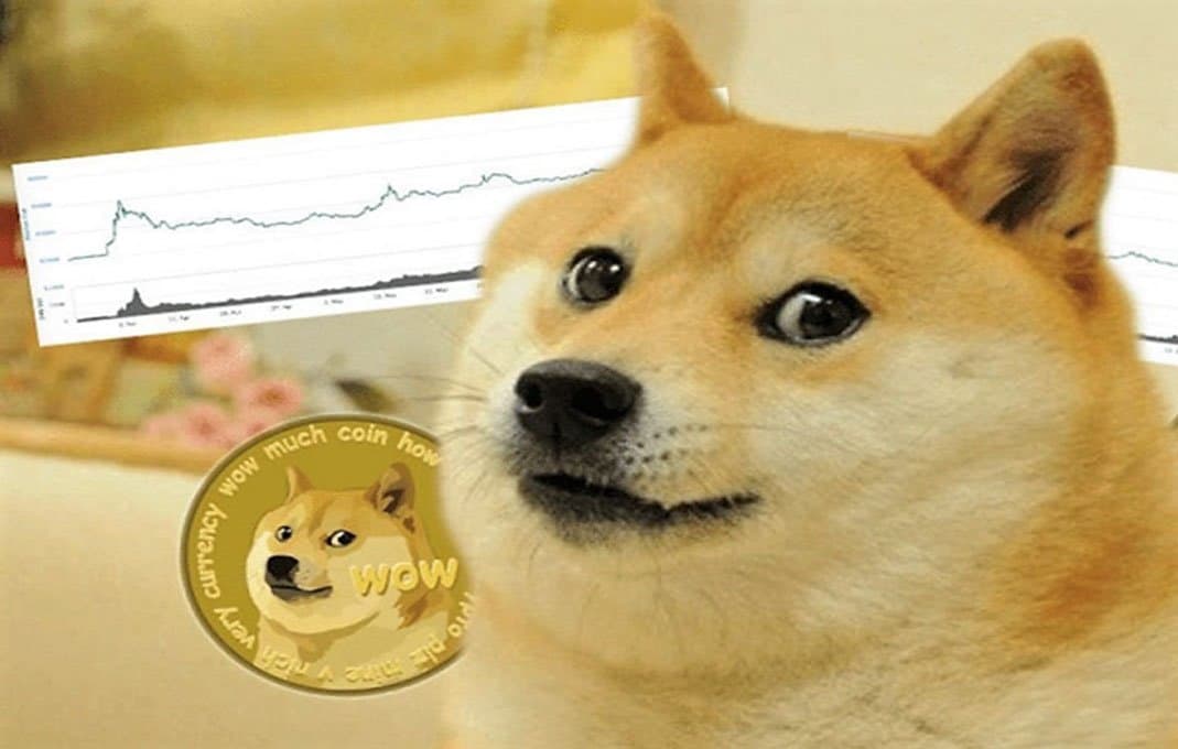 Shiba Inu